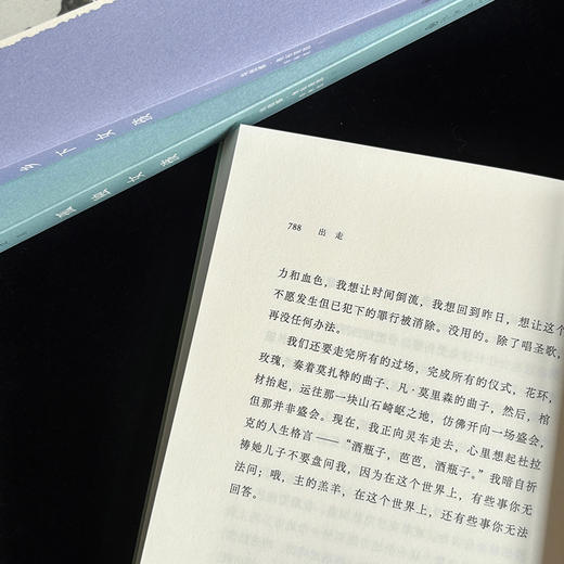 出走 “声名狼藉的”爱尔兰国宝级作家惊世骇俗的出道之作 商品图4