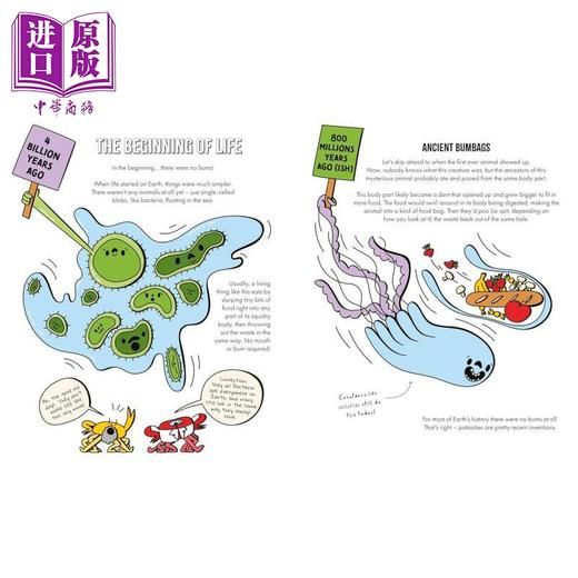 【中商原版】屁股的自然史 A Natural History Of Bums The Story Of Evolution From Your Bum To Beyond 英文原版 科普读物 商品图4