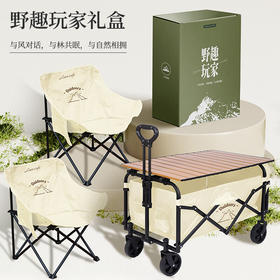小画仙户外露营车小推车营地车摆摊拉快递 含餐桌板月亮椅
