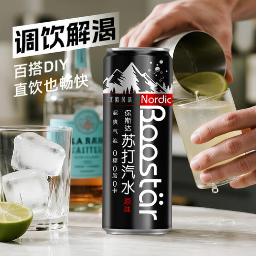 保斯达 原味苏打330ml*24纤体罐北欧风味气泡丰盈口感清爽 商品图2