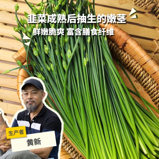 生态韭菜苔（广州） | 合作生产*Eco-Leek moss |Coprodution 商品图0