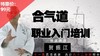 合气道职业入门培训——贺振江【在线观看，无需发货】 商品缩略图0