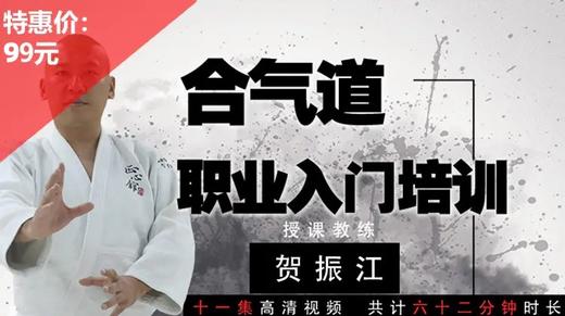 合气道职业入门培训——贺振江【在线观看，无需发货】 商品图0
