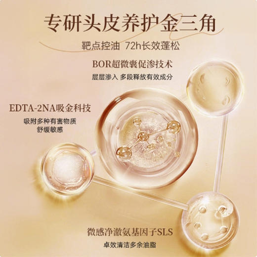 廿一添控油蓬松去屑洗发水300ml 商品图2