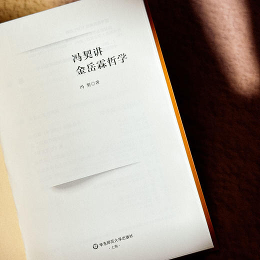 冯契讲金岳霖哲学 中国哲学 逻辑学 形而上学 商品图4