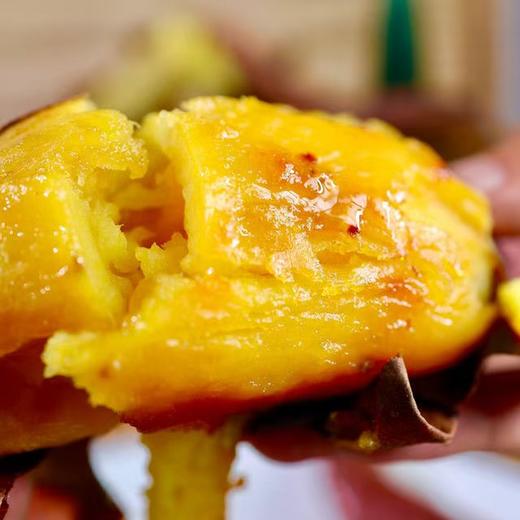 【云南高原太阳蜜红薯】浓厚的板栗香味 口感粉糯 地瓜不卡喉咙 推荐烤着吃 冷了也是蜜甜 商品图2