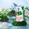 三元【新鲜日期】极致有机低脂纯牛奶整箱200ml*21盒 整箱礼盒 商品缩略图4