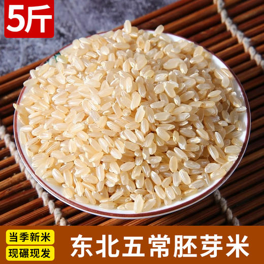 5斤装东北五常胚芽米、米粒淡黄、营养健康 商品图0