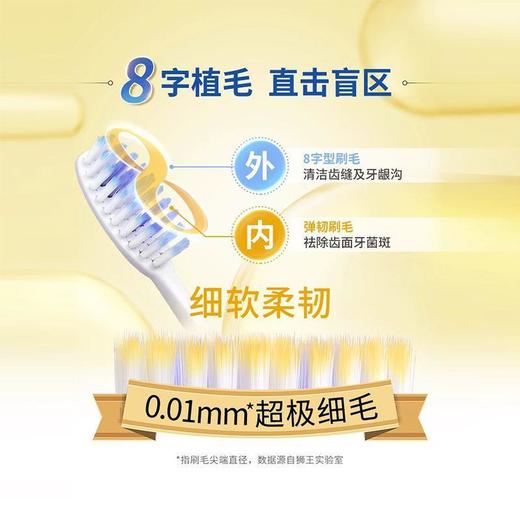 狮王细齿洁弹力护龈牙刷三支装 特惠装超弹性手柄3支装*2套 商品图2