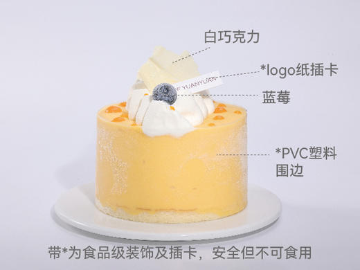 芒果百香果冰淇淋4号 商品图3