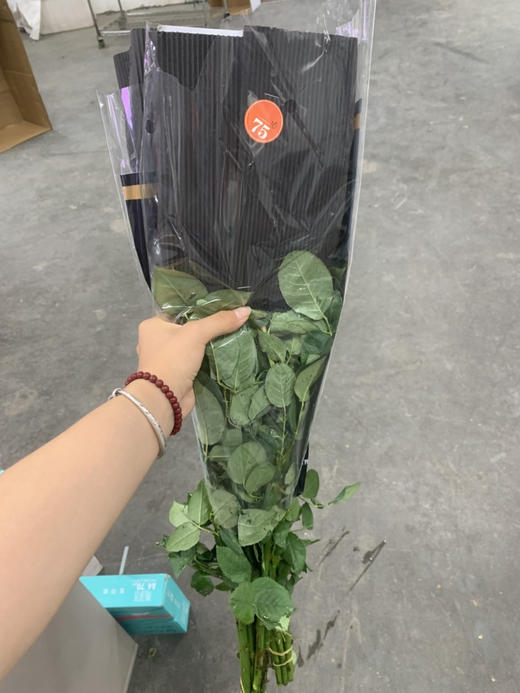 花木里骄傲C 商品图0