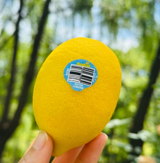 新西兰柠檬 |外形漂亮， 个头饱满，色泽鲜亮滋润，果蒂稍青、新鲜完整，散发浓郁柠檬清香，口感浓酸爽口，汁多肉鲜，茎肉无子，富含维生素C和柠檬酸，老少皆宜… 商品图2