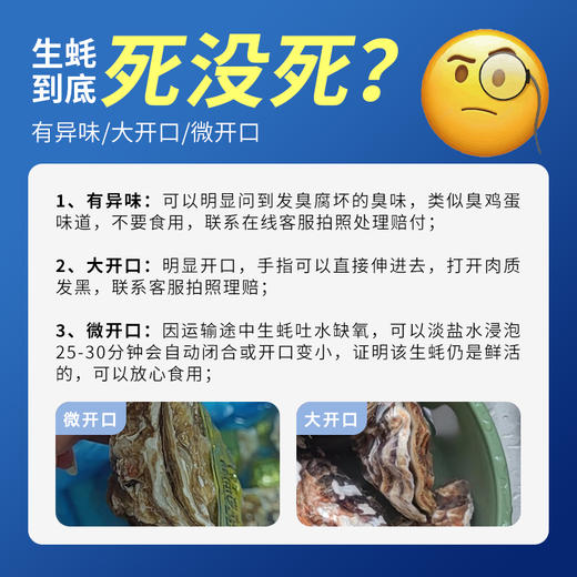 严选 | 贝司令乳山刺身级生蚝 4.5斤/箱 重5-7.5两/只 蚝肉饱满 鲜嫩多汁 送：开蚝三件套（手套+蚝刀+芥末2g） 商品图4