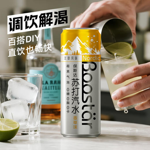 保斯达 香草味苏打水纤体罐330ml*24罐北欧风味气泡丰盈口感清爽 商品图3