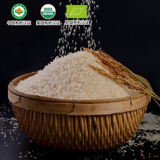 有机胚芽米500g宝宝营养米糊煮粥米欧盟美国中国三重有机认证真空装五谷杂粮 商品图3