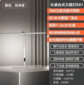 【送地球仪】长桌台式大路灯RO1-70W