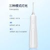 澳得迈便携式电动冲牙器  WT-312 Pro全身水洗牙齿冲洗器三个喷头 商品缩略图5