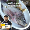 生态罗非鱼 | 合作生产 * Eco- tilapia | Coproduction 商品缩略图0