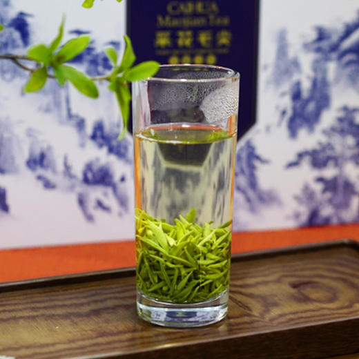 【2025绿茶】五峰绿茶采花毛尖 明前贡芽青花瓷礼盒160g 商品图3