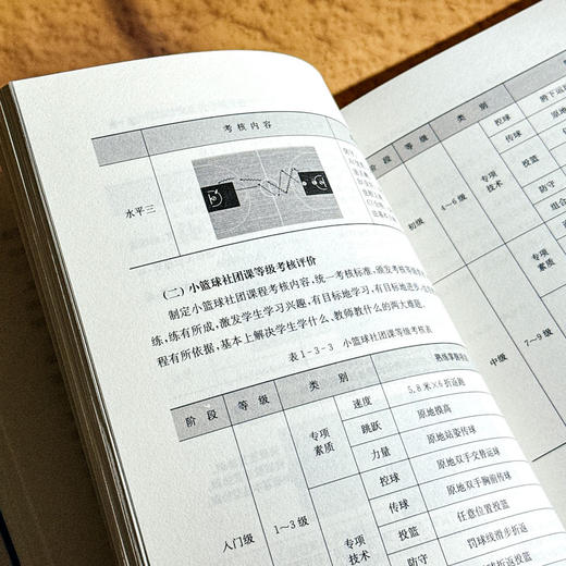 体育 让儿童嗨起来 悦动体育课程的设计与实施 课程治理现代化丛书 商品图11