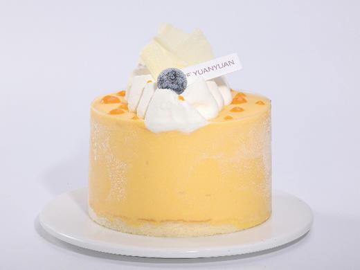 芒果百香果冰淇淋4号 商品图2