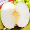 湖北翠冠梨4.5斤中果（商） 商品缩略图2
