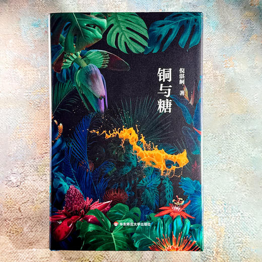 铜与糖 诗人倪湛舸 诗集 皮埃尔和艾琳娜系列 商品图1