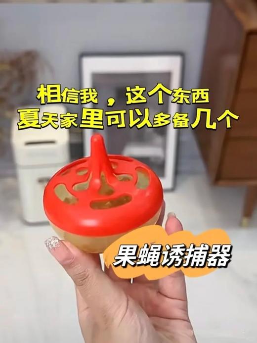 天热必囤❗️小飞虫克星！开团福利价👉【出口日本果蝇诱捕剂】让果蝇、小飞虫都来自投罗网🕸️ 商品图3