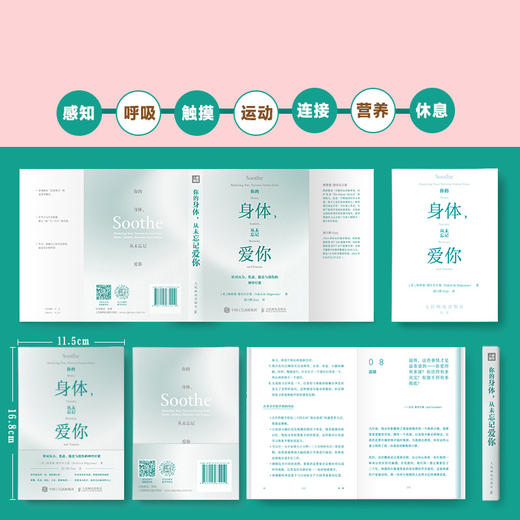 你的身体 从未忘记爱你 周六野Zoey诚意翻译及推荐 缓解疲惫压力焦虑倦怠与创伤中濒临崩溃的神经重建身心秩序 商品图1