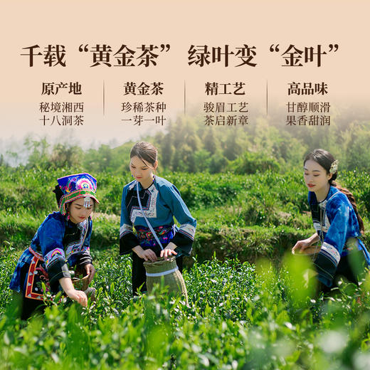 正山堂 十八洞红振兴 特级红茶骏眉中国正宗湖南黄金茶叶罐装50g 商品图3