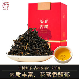凤宁号【古树红茶】云南滇红茶250克300年古树茶