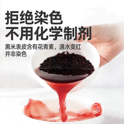 新货农家东北黑香米营养黑米/以黑补黑/ 食补滋养 商品图2