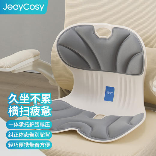 践程 护腰坐垫 SC02 商品图0