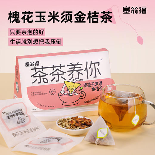 塞翁福 茶茶养你系列花果茶40g 内含10小包 商品图8
