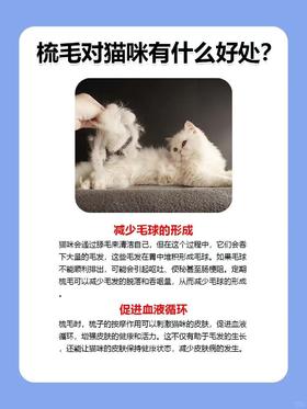 梳毛对猫咪有什么好处/