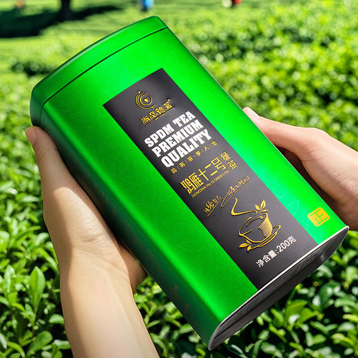 【尚品德茗-正】英德绿茶-鸿雁十二号绿茶 商品图2