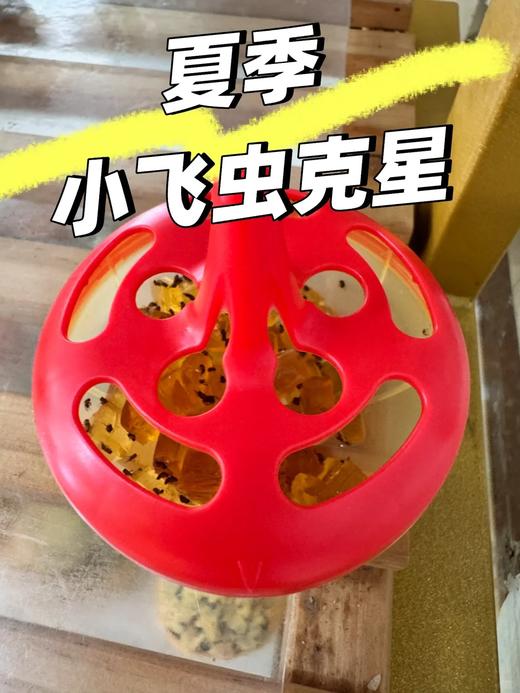 天热必囤❗️小飞虫克星！开团福利价👉【出口日本果蝇诱捕剂】让果蝇、小飞虫都来自投罗网🕸️ 商品图1