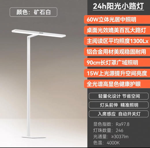 【送阅读书架】孩视宝24h阳光小路灯D1-60W 商品图0