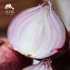 生态洋葱（洛阳） | 合作生产* Eco-onion | Coproduction 商品缩略图1