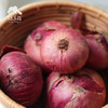 生态洋葱（洛阳） | 合作生产* Eco-onion | Coproduction 商品缩略图3