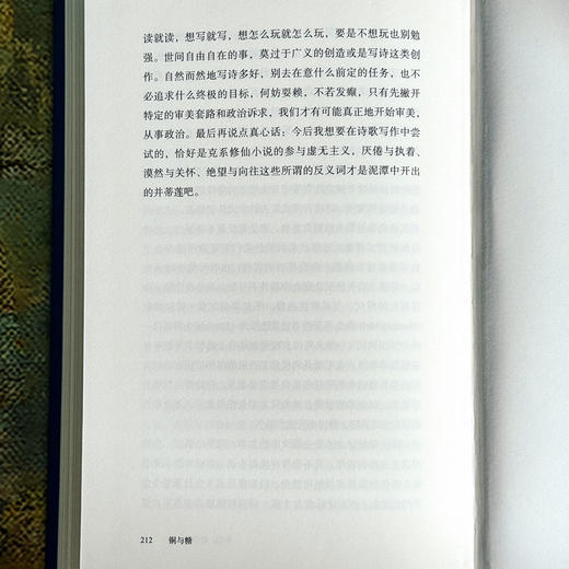 铜与糖 诗人倪湛舸 诗集 皮埃尔和艾琳娜系列 商品图14