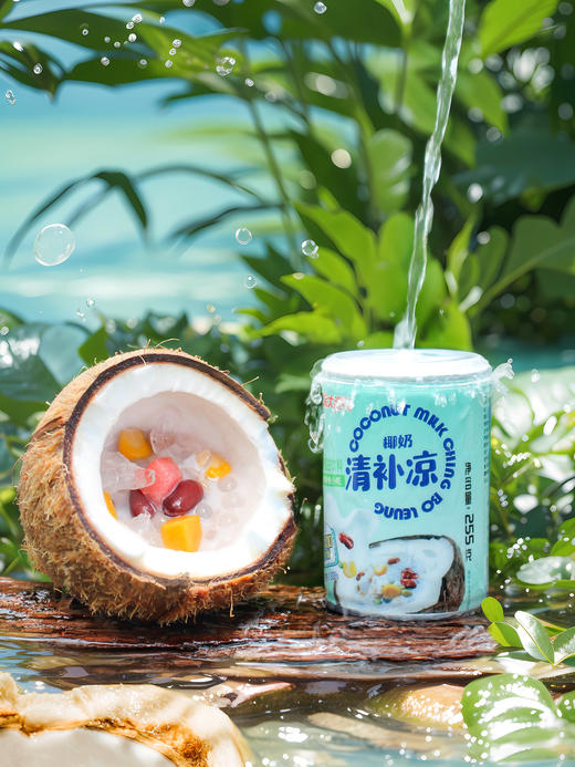 海南 【南国】清补凉280g*6罐 商品图5