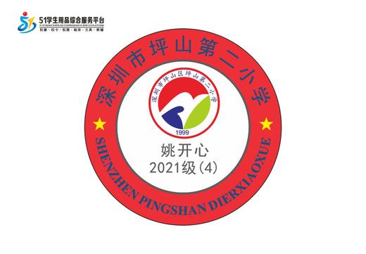 定制深圳市坪山区坪山第二小学熨烫校徽布标姓名贴胸章缝制包邮51 商品图5