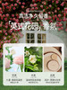 【蔬果园英式花园洁厕剂】蔬果园洁厕灵强力除垢除臭清香型去污去黄洁厕液剂厕所马桶清洁剂 商品缩略图2