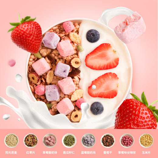 【麦麦SY】8臻坚果202g+8臻莓莓202g+草莓缤纷益生元220g 商品图4