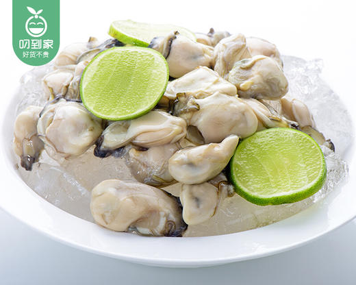 霞美冰鲜石头海蛎肉（源汁无泡水）/1盒（约500g） 商品图2