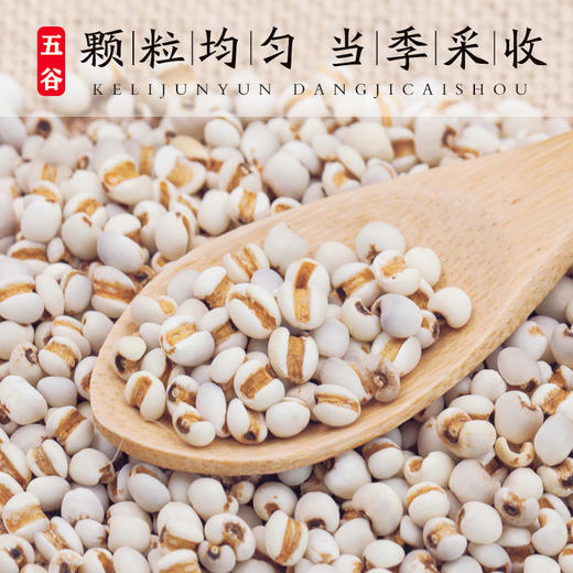 农家自种薏仁米五谷杂粮粗粮 商品图2