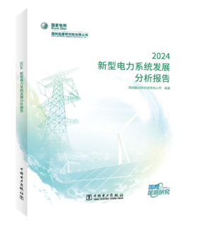 新型电力系统发展分析报告 2024