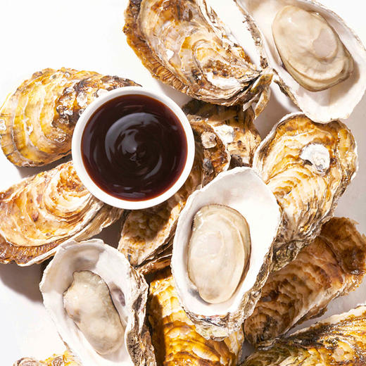 海天松茸鲜蚝油250g/625g 0金标蚝油625g上等蚝油1kg一滴锁住三重鲜 商品图8