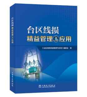 台区线损精益管理与应用